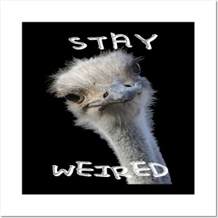 Stay Weird Strange Ostrich Bird Posters and Art